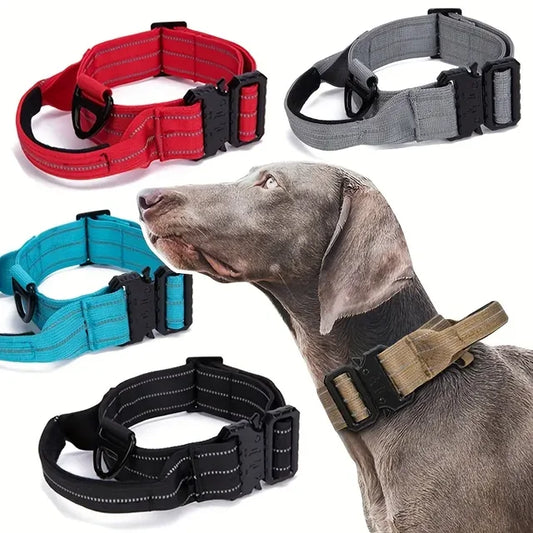 Hundehalsband mit Griff in 6 verschiedenen Farben für alle Hunde