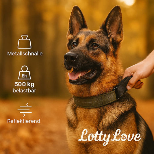 Hundehalsband mit Griff Erfahrungen