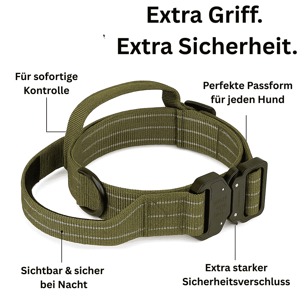 Hundehalsband mit Griff für extra Sicherheit, sofortige Kontrolle