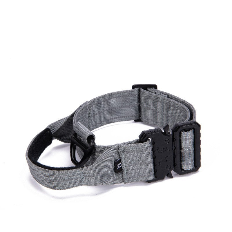 Hundehalsband mit Griff Grau – verstellbar, reflektierend & robust für mittlere und große Hunde