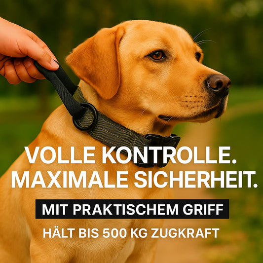 Hundehalsband mit Griff für maximale Sicherheit und volle Kontrolle